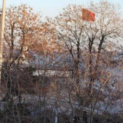 Ozdemir Pansiyon Турция, Хейбелиада - отзывы, цены и фото номеров - забронировать отель Ozdemir Pansiyon онлайн фото 8