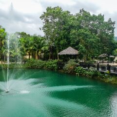 Отель Centara Koh Chang Tropicana Resort фото 3