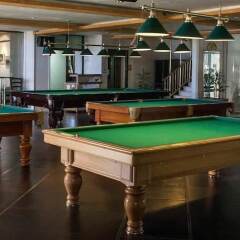Hotel Aleksandar Rafailovići гостиничный бар