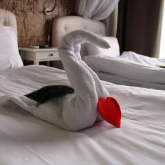 Urkmez Hotel Турция, Сельчук - отзывы, цены и фото номеров - забронировать отель Urkmez Hotel онлайн комната для гостей фото 5