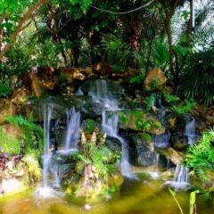 Отель Koh Chang Paradise Ко Чанг фото 9