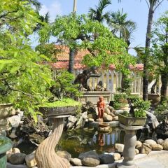 Отель Bonsai Homestay Хойан фото 9