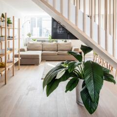 Отель The Lanes Residence Великобритания, Брайтон - отзывы, цены и фото номеров - забронировать отель The Lanes Residence онлайн фото 10