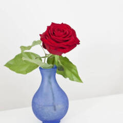 Отель B&B Jacquemine Luxury Guesthouse and Art Gallery детские мероприятия