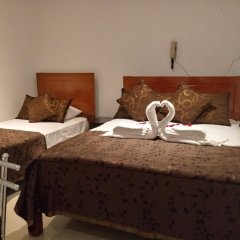 Estrellita del Sur in Nazca, Peru from 111$, photos, reviews - zenhotels.com guestroom