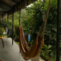 Отель Peace Guest House Pokhara Непал, Покхара - отзывы, цены и фото номеров - забронировать отель Peace Guest House Pokhara онлайн балкон