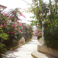 Bougainville Bay Hotel фото 8