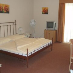 Отель Sporthotel Patriot Бенешов-над-Плоучницей комната для гостей фото 4