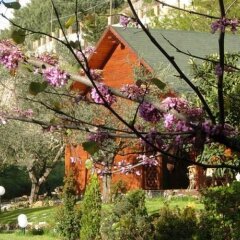 Отель Villa Clementine Пьяцца-Армерина фото 4