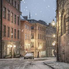 Отель Lady Hamilton Hotel Швеция, Стокгольм - 3 отзыва об отеле, цены и фото номеров - забронировать отель Lady Hamilton Hotel онлайн парковка