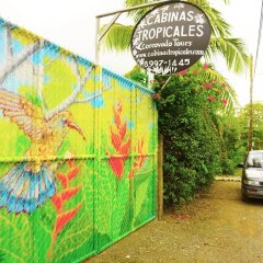 Отель Cabinas Tropicales Puerto Jimenez Ринкон городской автобус
