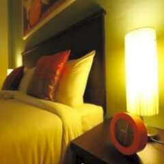 Отель Orange Tree House детские мероприятия