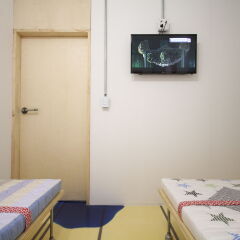 Time Travelers Party Hostel In Hongdae удобства в номере
