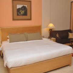 The Hans Hotel New Delhi комната для гостей