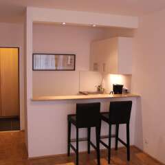 Апартаменты Vienna's Place Studio-Apartments Karlsplatz в номере фото 2