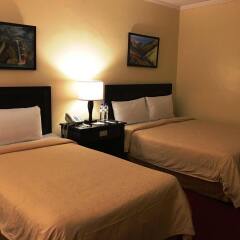 Отель Bayview Park Hotel Manila Филиппины, Манила - отзывы, цены и фото номеров - забронировать отель Bayview Park Hotel Manila онлайн комната для гостей