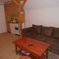 Apartments Savic in Jahorina, Bosnia and Herzegovina from 93$, photos, reviews - zenhotels.com photo 7