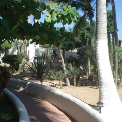 Отель Park Royal Los Cabos Сан-Хосе-дель-Кабо фото 11