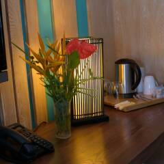 Anelia Resort & Spa in Flic-en-Flac, Mauritius from 197$, photos, reviews - zenhotels.com room amenities photo 2