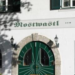 Hotel Gasthof Mostwastl Голлинг-на-Зальцахе фото 3