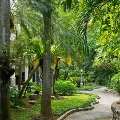 Отель Sunshine Garden Resort Таиланд, Паттайя - 3 отзыва об отеле, цены и фото номеров - забронировать отель Sunshine Garden Resort онлайн фото 2