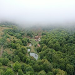 Отель EcoKayan Армения, Дилижан - отзывы, цены и фото номеров - забронировать отель EcoKayan онлайн фото 9