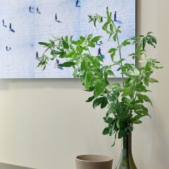 Отель Parthenon Apartment Греция, Афины - отзывы, цены и фото номеров - забронировать отель Parthenon Apartment онлайн балкон