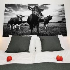 Отель Jæren Hotell пляж