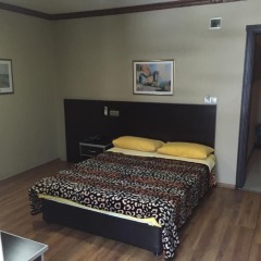 Отель Altindisler Otel комната для гостей фото 4