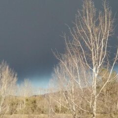 Отель Cameracaffè sul Lago Ареццо фото 4
