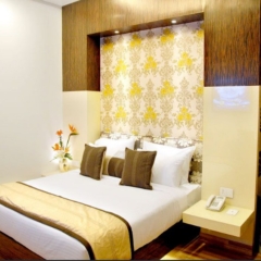 Hotel Jivitesh комната для гостей