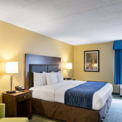 Comfort Inn & Suites Newark - Wilmington in Newark, United States of America from 134$, photos, reviews - zenhotels.com guestroom photo 2