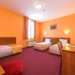 Отель Sveta Sofia Hotel Болгария, София - 2 отзыва об отеле, цены и фото номеров - забронировать отель Sveta Sofia Hotel онлайн комната для гостей фото 2