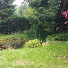 Отель Gstaad - Amazing Lake Chalet фото 5