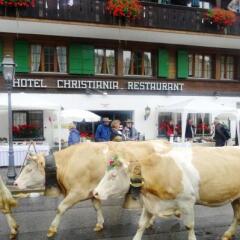 Отель Christiania Gstaad Швейцария, Гштад - отзывы, цены и фото номеров - забронировать отель Christiania Gstaad онлайн фото 8