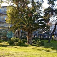 Отель Plaza Hotel Греция, Ханиотис - отзывы, цены и фото номеров - забронировать отель Plaza Hotel онлайн