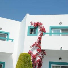 Отель Mastichari Bay Hotel Греция, Калимнос - отзывы, цены и фото номеров - забронировать отель Mastichari Bay Hotel онлайн фото 5