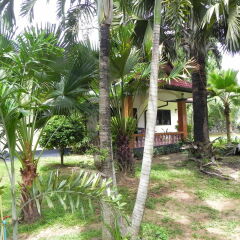 Отель Naya Bungalow