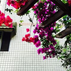 Nice House Hostel фото 3