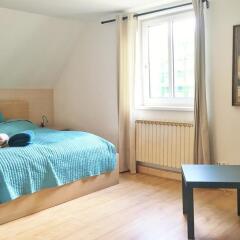Отель Book-A-Room City Apartment Salzburg Австрия, Зальцбург - отзывы, цены и фото номеров - забронировать отель Book-A-Room City Apartment Salzburg онлайн комната для гостей фото 5