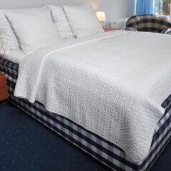 Hotel Břízky Яблонец-над-Нисой удобства в номере