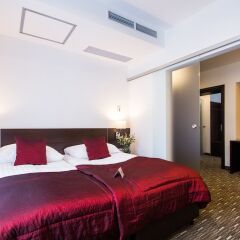 Park Hotel Diament Zabrze/Gliwice комната для гостей фото 5