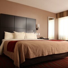 Отель Comfort Inn Los Angeles Лос-Анджелес комната для гостей