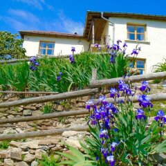 Отель Melanya Mountain Retreat Болгария, Ардино - отзывы, цены и фото номеров - забронировать отель Melanya Mountain Retreat онлайн фото 10