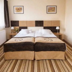 Boutique Hotel's 3* Стандартный номер с разными типами кроватей