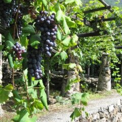 Отель B&B Ambrosia Италия, Аоста - отзывы, цены и фото номеров - забронировать отель B&B Ambrosia онлайн фото 4