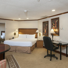Holiday Inn San Jose-Aurola, an IHG Hotel in San Jose, Costa Rica from 106$, photos, reviews - zenhotels.com room amenities