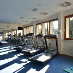 Отель Danubius Health Spa Resort Heviz Венгрия, Хевиз - 5 отзывов об отеле, цены и фото номеров - забронировать отель Danubius Health Spa Resort Heviz онлайн фитнесс-зал