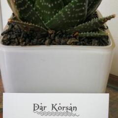 Отель Dar Korsan Марокко, Рабат - отзывы, цены и фото номеров - забронировать отель Dar Korsan онлайн городской автобус