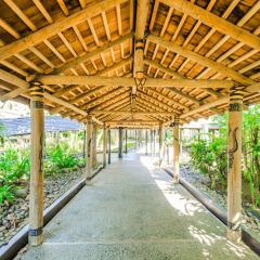 Отель Tanoa International Hotel Фиджи, Вити-Леву - отзывы, цены и фото номеров - забронировать отель Tanoa International Hotel онлайн фото 7